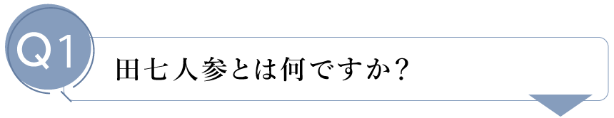 田七ん人とは何ですか？