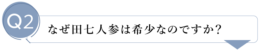 なぜ田七人参は希少なのですか？